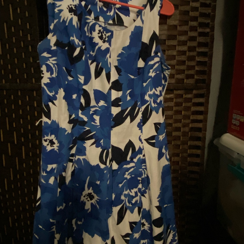 Floral Blue and White Dress